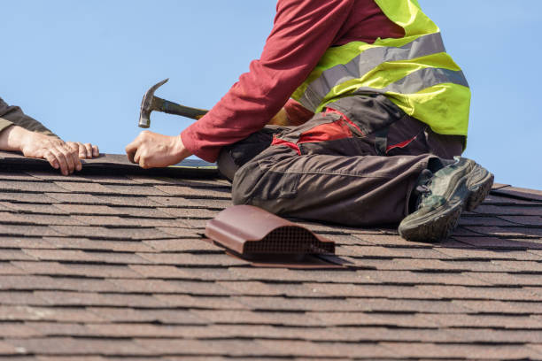 Roof Gutter Cleaning in Haines, AK