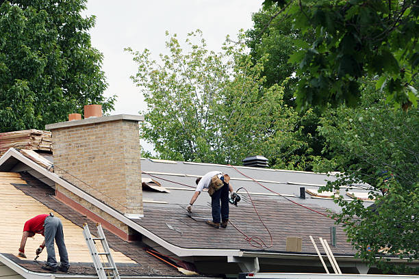 Best Gutter Installation and Roofing  in Haines, AK