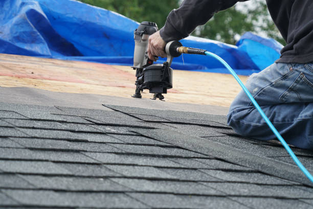 Best New Roof Installation  in Haines, AK