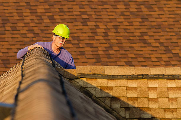 Best Best Roofing Contractors  in Haines, AK