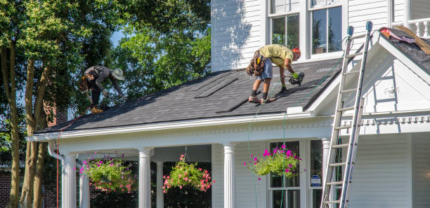 Best Shingle Roofing Installation  in Haines, AK